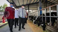 MenkopUKM: SAE Pujon Malang jadi Pilot Project Modernisasi Koperasi Pangan