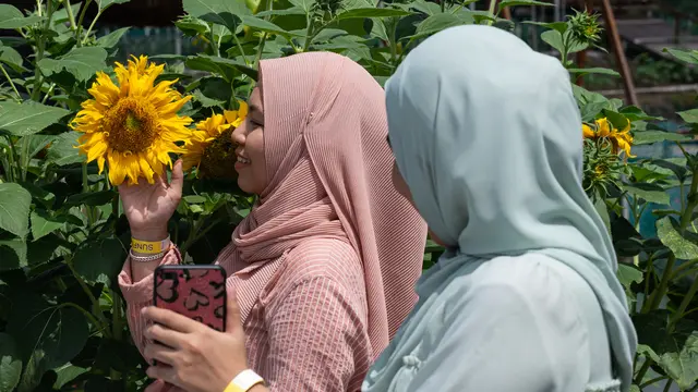 Mengunjungi Taman Bunga Matahari di Bagan Datuk Malaysia