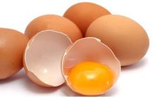 Bolehkah Penderita Asam Urat Makan Telur Ayam Setiap Hari? Berikut Fakta Selengkapnya