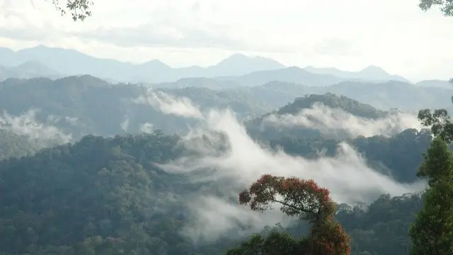 6 Fakta Menarik Kapuas Hulu, The Heart of Borneo yang Dilalui Sungai Terpanjang di Indonesia