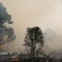 Sebaran Hotspot di Kalimantan Selatan