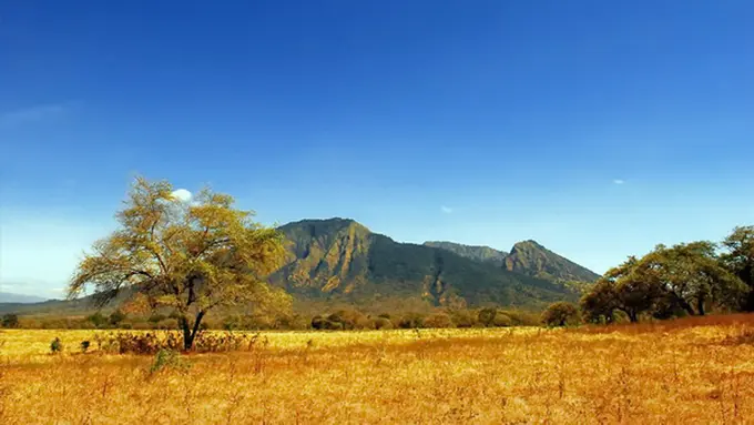 Taman Nasional Baluran