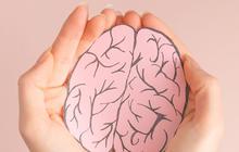 Jangan Diabaikan, Kenali Tanda dan Gejala Stroke Sejak Dini