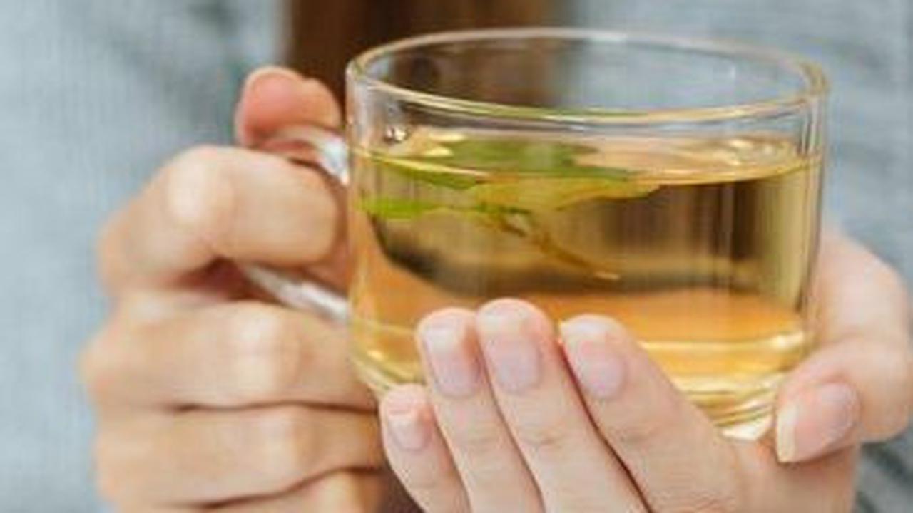 Cara Mengolah Daun Kelor Menjadi Teh