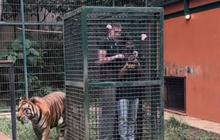 Awalnya Pede Nekat Masuk Kandang Harimau Milik Alshad Ahmad, Intip Aksi Aisar Khaled Berujung Tak Terduga