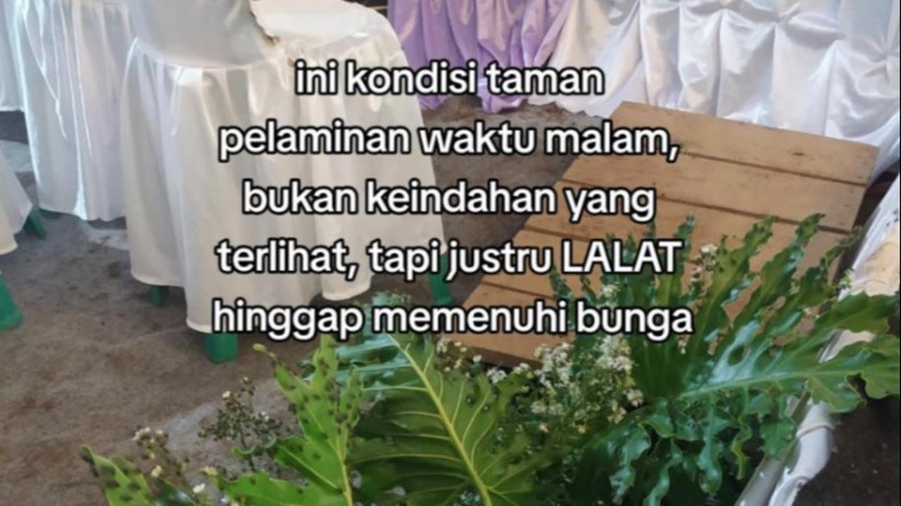Kondisi Pelaminan Sebelum Pernikahan
