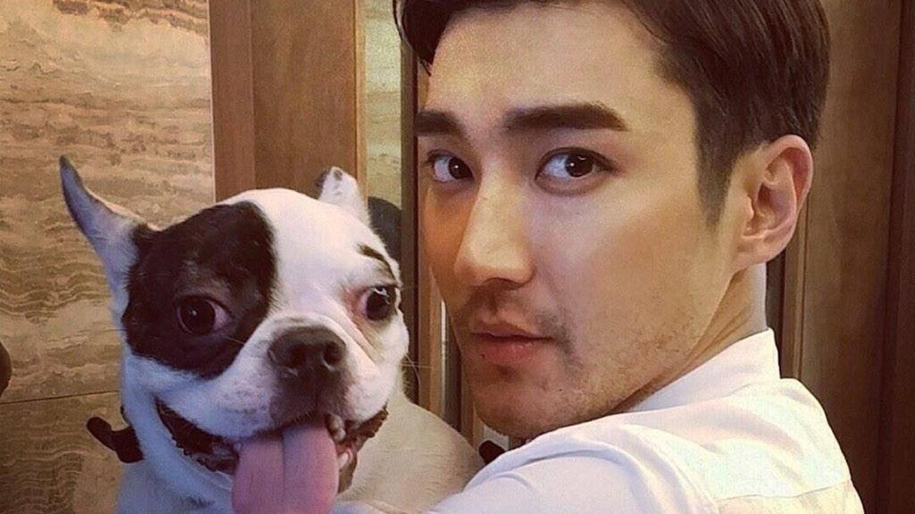 [Bintang] Choi Siwon