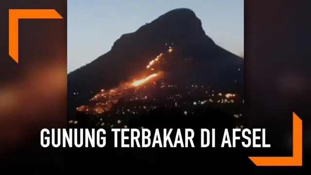 Gunung Lion's Head di Afrika Selatan terbakar. Berbagai usaha dilakukan untuk memadamkan api.
