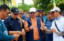 Fakta Unik Pulau Terluar: Pemdes Sepempang Gelar Pelepasan Tukik Natuna di Pulau Senua