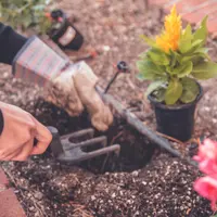 Berkebun/unsplash neonbrand