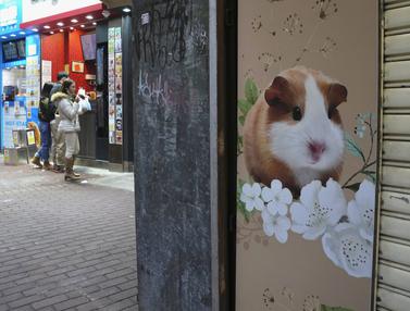 Hamster di Hong Kong Akan Dimusnahkan Terkait Infeksi Covid-19