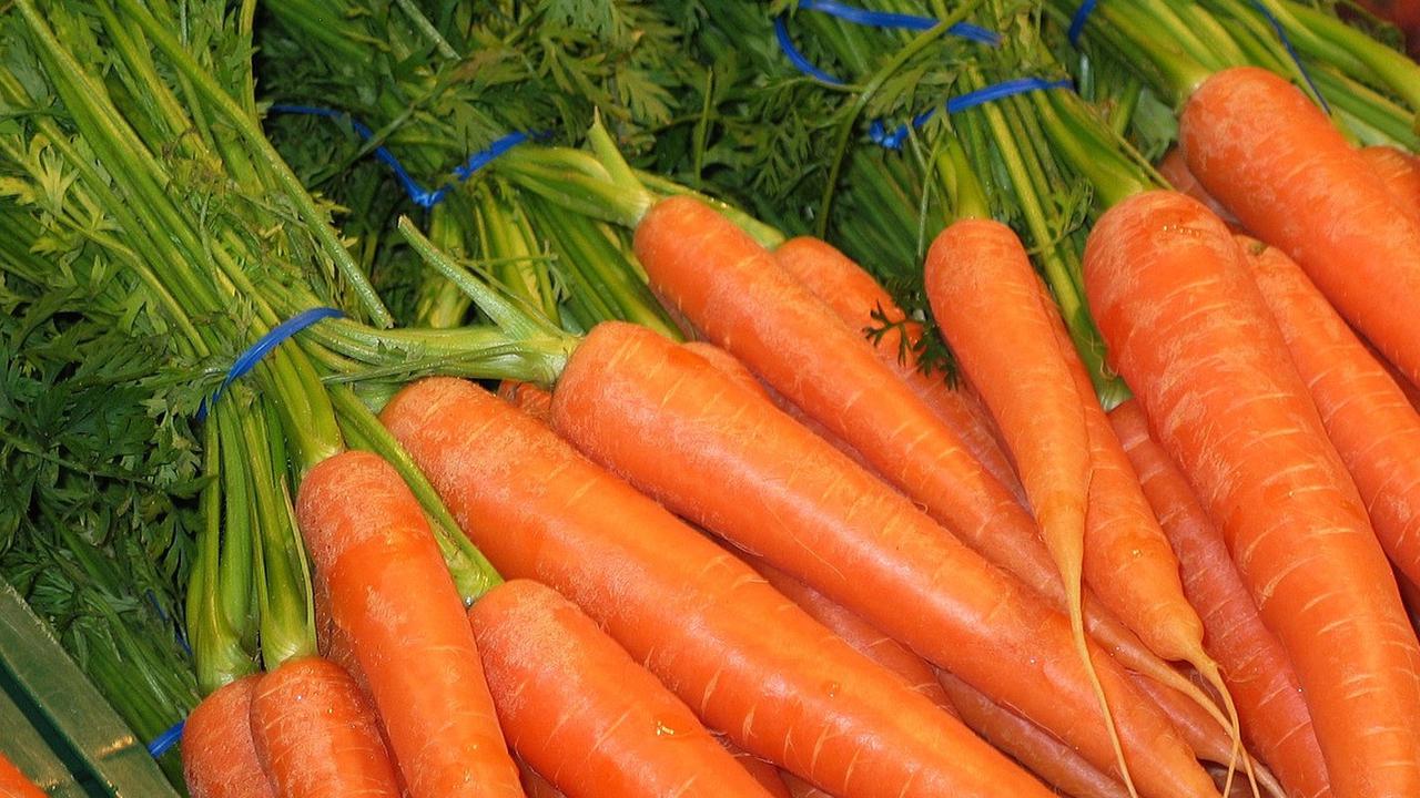 Usai Heboh Peternak Buang Susu kini Viral Petani Wortel di Banjarnegara Ngamuk Buang Hasil Panen, Ternyata Ini Pemicunya