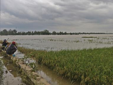 Berita Banjir Karawang Hari Ini Kabar Terbaru Terkini Liputan6 Com