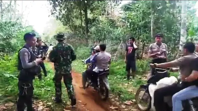 Petani Pagar Alam Mengungsi Usai Teror Mencekam Kawanan Harimau