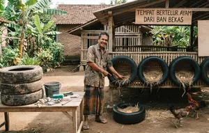 Cara Membuat Tempat Bertelur Ayam dari Ban Bekas, Cocok Diterapkan Peternak Pemula