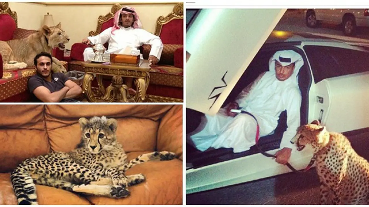 (c) instagram