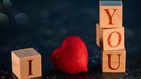Photo by hasan kurt from Pexels: https://www.pexels.com/photo/i-love-you-lettering-on-wooden-cube-and-red-heart-shape-with-bokeh-for-valentines-day-background-11166360/