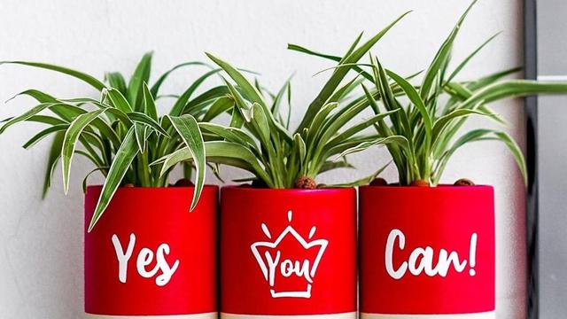 Tanaman Hias Kekinian ala Mini Gardena, Makin Cantik di Pot Unik Berhidrometer