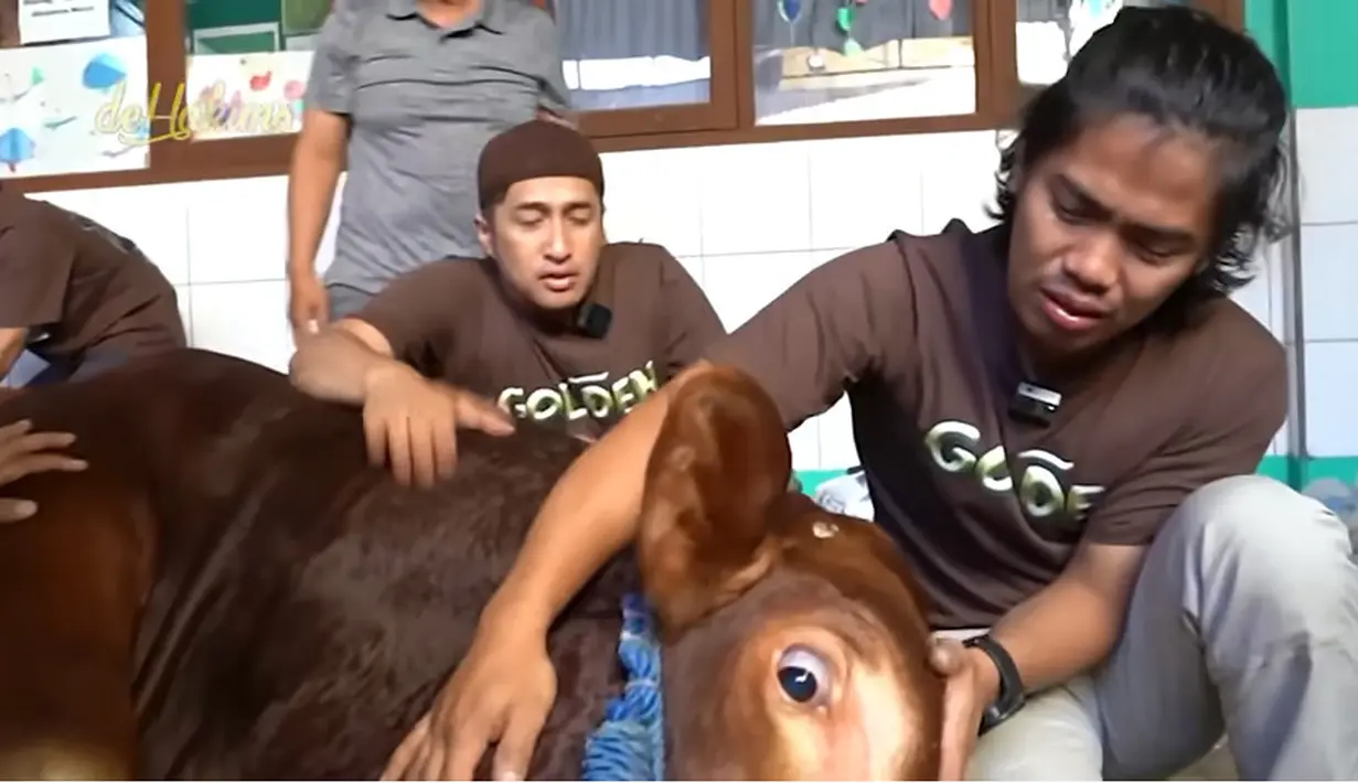 Irfan tampak sedih melihat hewan kesayangannya akan disembelih. Meski demikian, ia mengaku ikhlas. Pria kelahiran Bandung 47 tahun silam itu juga tak kuasa menahan air matanya. [Youtube/deHakims channel]