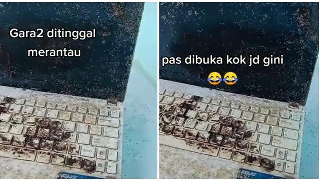 Lama Ditinggal, Kondisi Laptop Penuh dengan Semut Ini Bikin Senyum Pasrah