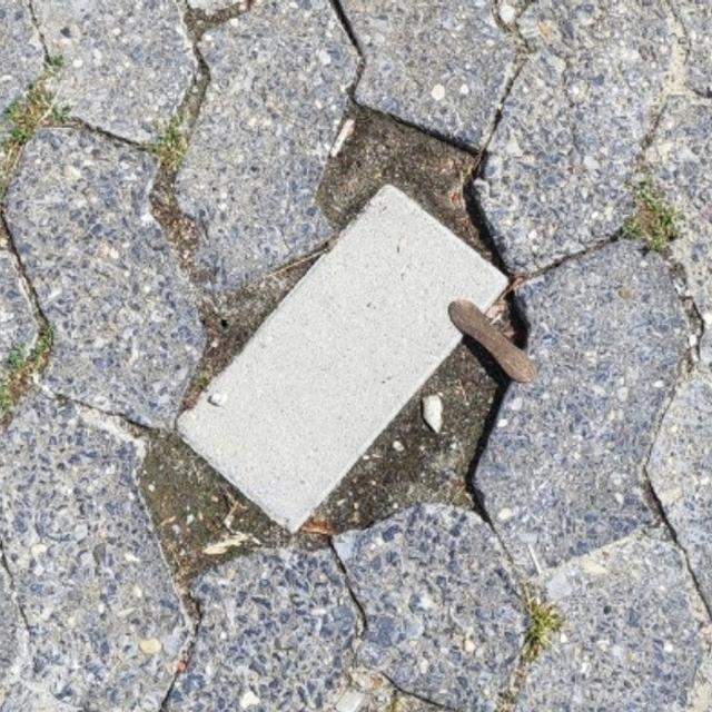 6 Potret Salah Pasang di Tempat Umum Ini Bikin Geleng Kepala