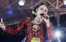 Video Niken Salindry Borong Jualan Pedagang Es Teh saat Konser Viral, Netizen Tak Ragu Sentil Gus Miftah