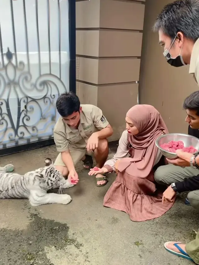 Ria Ricis Digigit Harimau