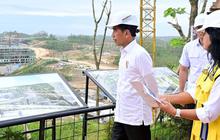 Jokowi Targetkan Smelter Freeport Beroperasi 2024, Buka Perekrutan 20 Ribu Anak Muda Indonesia