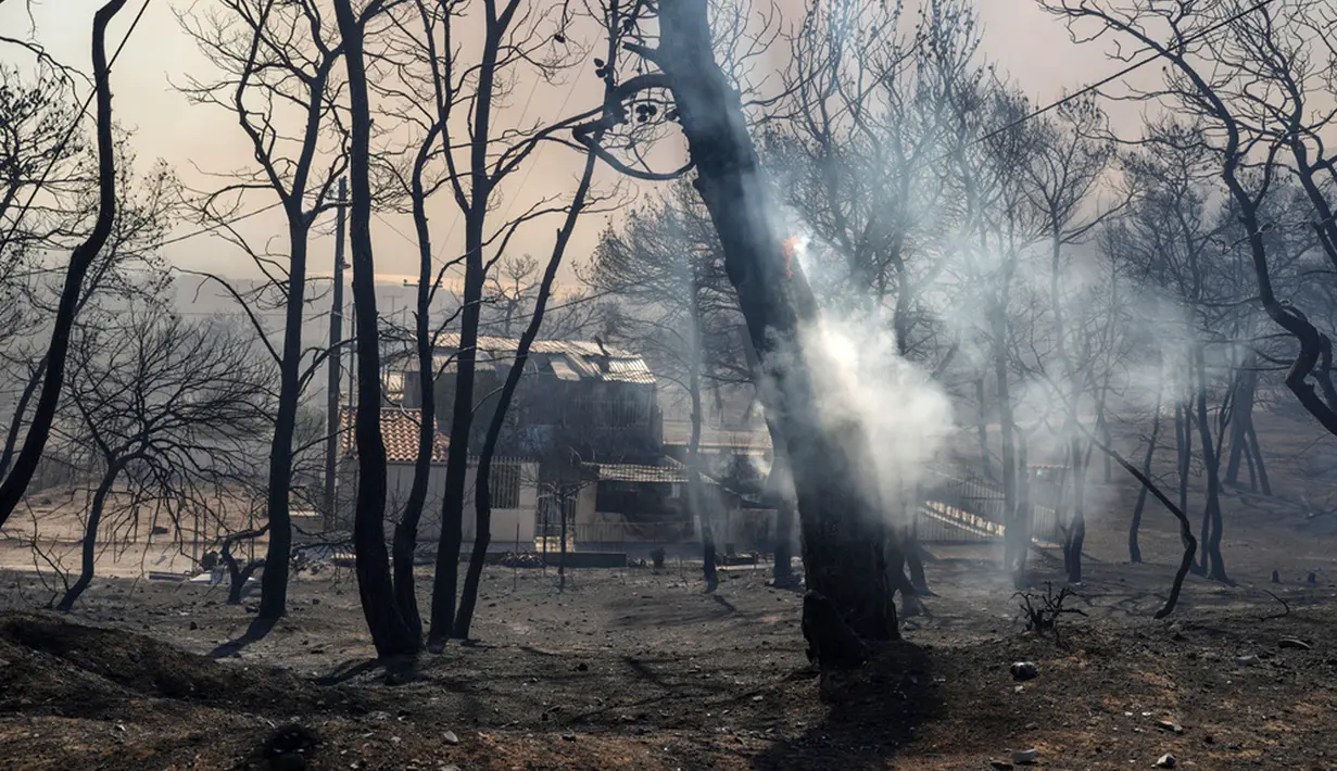 Api cepat menyebar dikarenakan angin yang cukup kencang antara 50 hingga 60 Km/jam hingga menyasar kepemukiman penduduk. (AP Photo/Petros Giannakouris)