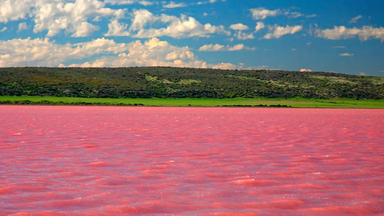 Danau Pink