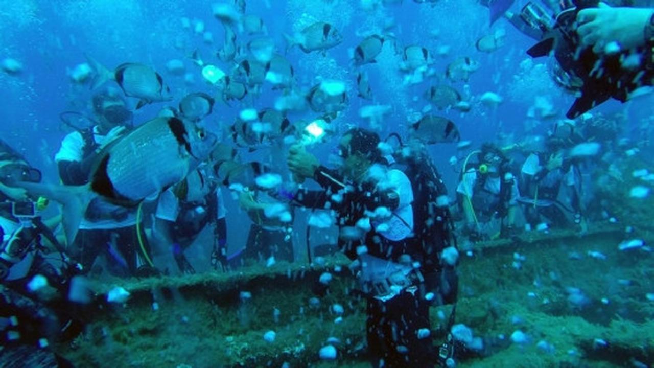 Mengunjungi Kapal MZ Zenobia di bawah laut Siprus