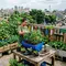 7 Inspirasi Urban Farming dari Barang Bekas, Sulap Sampah Jadi Kebun Mini