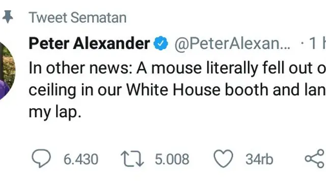 post twitter (Peter Alexander)