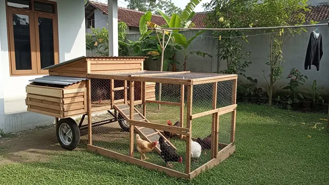 Desain Kandang Ayam Beroda yang Membantu Mengurangi Bau Menyengat/Gemini AI
