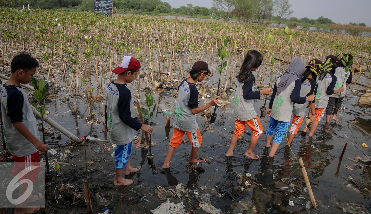 Siswa siswi membawa bibit mangrove untuk di tanam di Pesisir Pantai Muara Karang, Jakarta, Kamis (29/10). 5.000 bibit baru ditanam untuk memperkuat ekosistem yang telah dibangun dan memperbesar manfaat terhadap masyarakat. (Liputan6.com/Faizal Fanani)