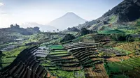 11 Tempat Wisata Tawangmangu Terbaik yang Wajib Dikunjungi, Sejuk dan Menyegarkan Pikiran