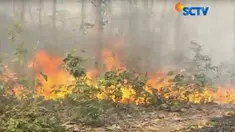 Aksi pelaku dengan cara merobek tas korban dengan menggunakan silet. Korban yang mengetahui aksi pelaku, langsung melaporkannya ke polisi.