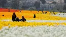 Pengunjung menikmati hamparan bunga giant recolote ranunculus yang mekar di The Flower Field, Carlsbad Ranch, California, Kamis (21/3/2019). Memiliki luas sebesar 50 hektare, taman bunga ini dibuka setiap tahunnya pada musim semi. (REUTERS/Mike Blake)