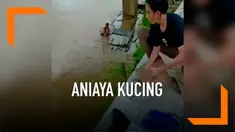 Seorang pria melempar kucing hamil dari ketinggian ke dalam sungai. Kucing malang tersebut langsung kewalahan saat berenang.