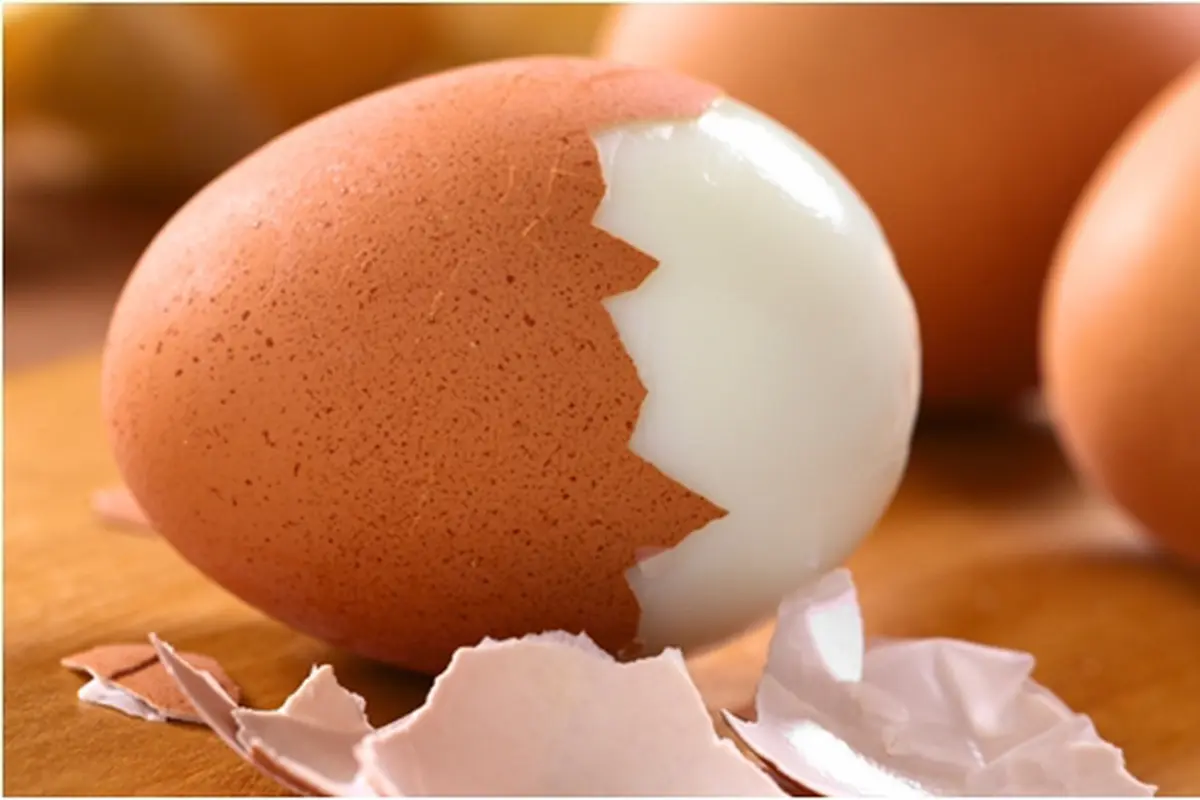 Courtesy ShutterStock.com