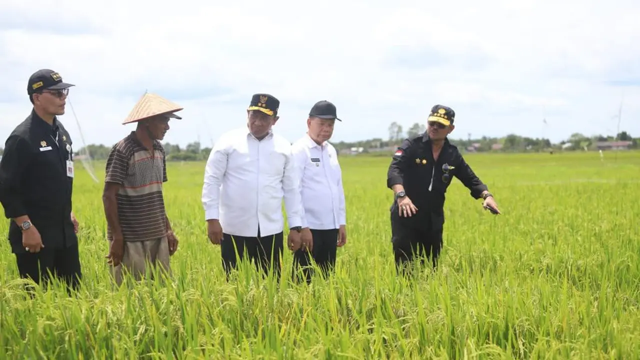 Mentan SYL Puas Pertanaman dan Peningkatan Luas Tanam Padi saat Kunker Food Estate Kalteng