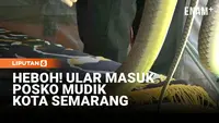 Posko Mudik Kalikangkung Disusupi Ular, Petugas Sempat Panik