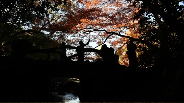 Suasana Musim Gugur di Gyoen Park, Tokyo