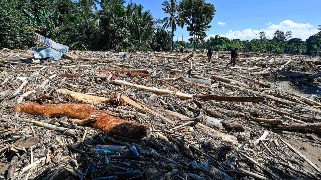 FOTO: Menyedihkan! Gajah Sumatera Ditemukan Tewas Terjebak Material Banjir Bandang di Pidie Jaya