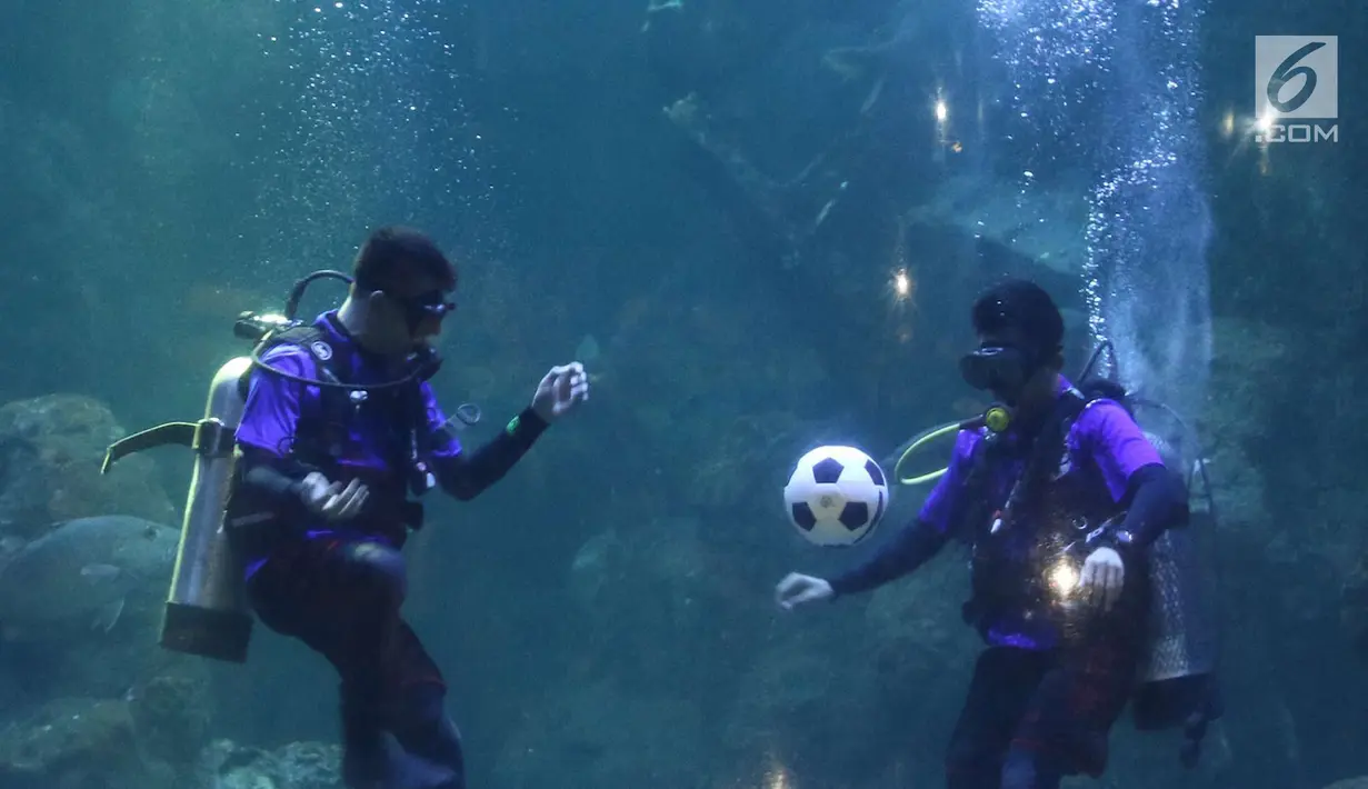 Penyelam melakukan atraksi menimang bola di dalam aquarium Sea World, Jakarta, Sabtu (16/6). Atraksi tersebut digelar dalam rangka menyemarakkan ajang Piala Dunia 2018 yang berlangsung di Rusia. (Liputan6.com/Immanuel Antonius)