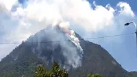 Asap mengepul akibat kebakaran hutan di kawasan Gunung Panderman, Kota Batu yang terjadi sejak Selasa, 21 November 2023 (BPBD Kota Batu)
