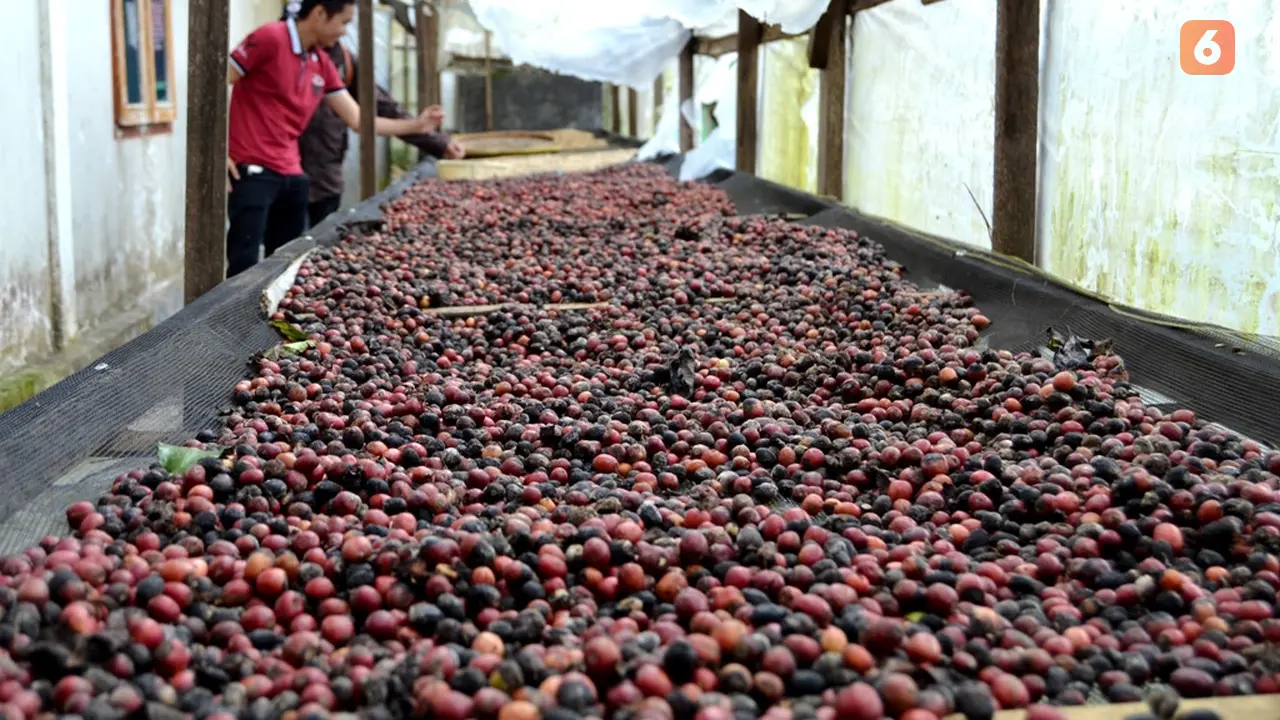 Kopi Bengkulu Hadir di IMF-WB Annual Meeting