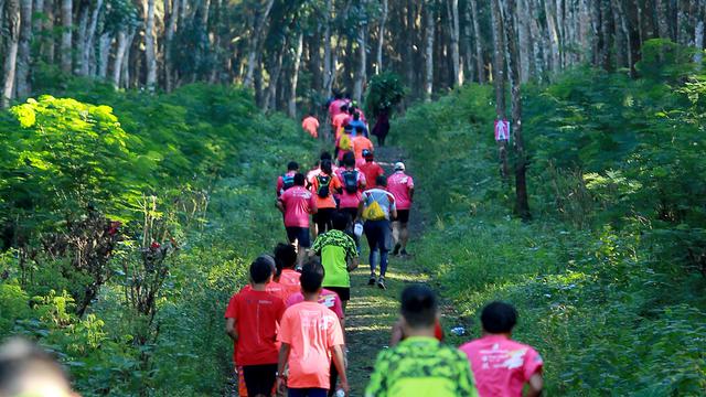 Banyuwangi Ijen Green Run