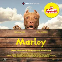 Poster film Marley (https://www.instagram.com/p/CZ8405ml53n/)