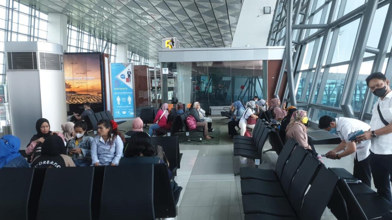 80 Ribu WNI Kerja di Kamboja Ilegal, Begini Cara Daftar Sebagai Calon Pekerja Migran Indonesia Resmi